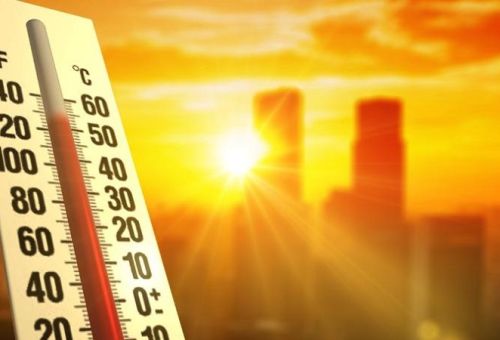 Các cách giảm nhiệt cho cơ thể khi trời nóng